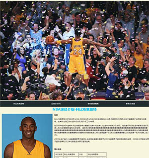 NBA体育篮球运动明星响应式带表格