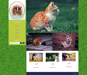 小猫可爱网页成品模版HTML