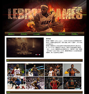 NBA勒布朗詹姆斯篮球明星带js