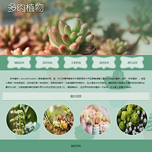 多肉植物介绍dw网页设计