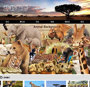 动物世界的html网页制作带js图片滚动/jqruey