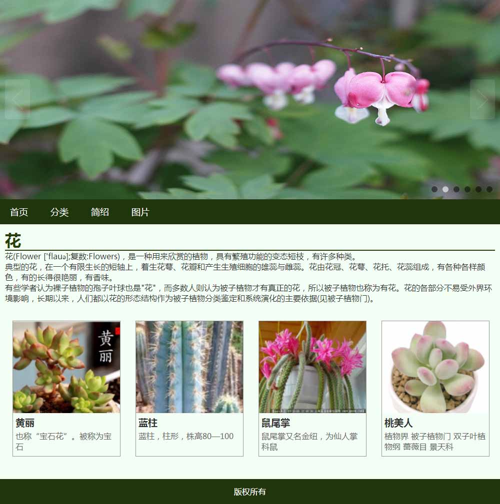 植物-花静态网页设计制作带js轮播