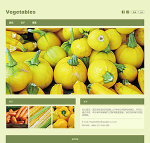 蔬菜生鲜商城