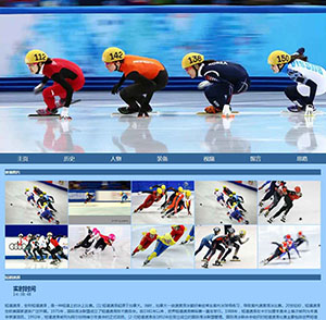 运动体育冬奥短短速滑滑冰项目介绍带视频带表格